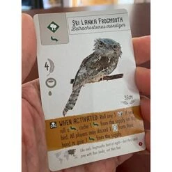 Stonemaier Games: Wingspan Asia Expansion, Strategy /Board / Stand Alone Game Or Play With Core Wingspan, Play In Solo Mode Or Dual Player, 40-70 Minute Play Time, For Ages 14 And Up -BEYBLADE Sale Store 511DxsqGylL