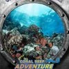 Small Monsters Games Undersea Explorers: Coral Reef Adventures -BEYBLADE Sale Store 51kaADUhBTL