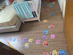 HK Studio Education Floor Decal For Classroom Decor - Alphabet ABC Hop & Walk Footprint For Boosting Gross Motor Skills - Sensory Path - Indoor School Montessori Gym -BEYBLADE Sale Store 51l0VNI9oHL